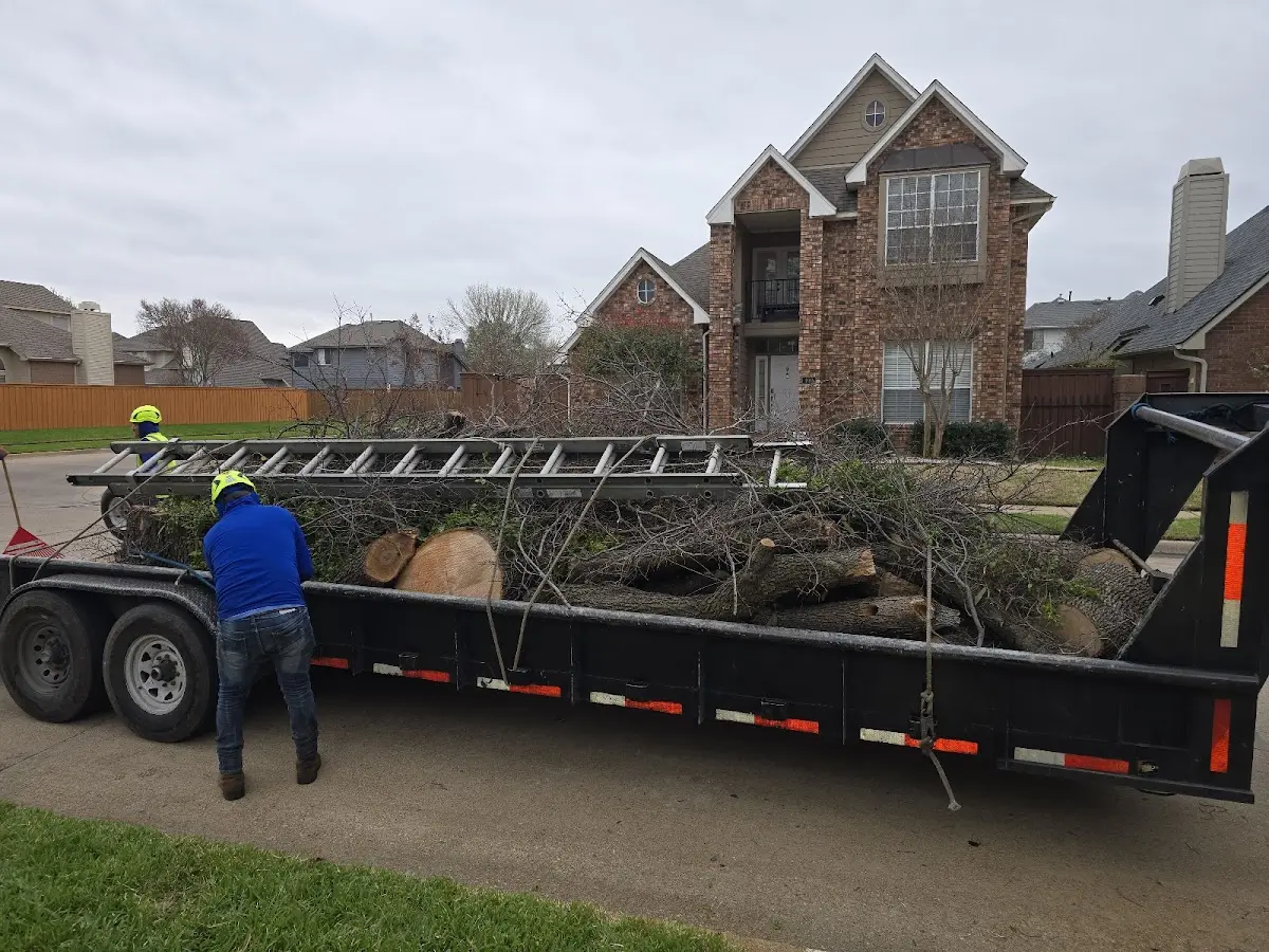 Expert Tree Removal with proper safety equipment in Kanopolis